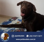 20170819_160248