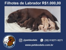 Print