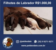 Print