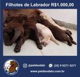 Print