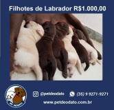 Print